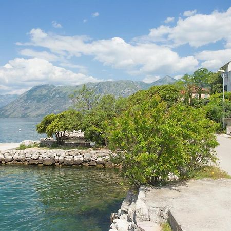 Villa Iva Kotor Zewnętrze zdjęcie